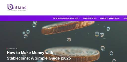 Biitland.com: A Thoughtful Spot for Crypto Insight in 2025