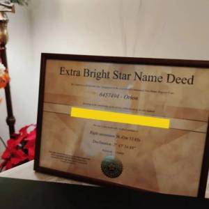 online star register 是 真 的 吗？