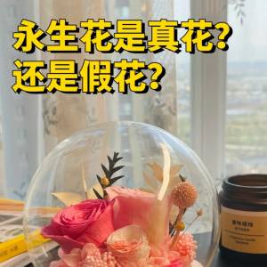 永生 花 是 真 花 吗