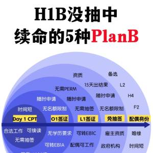 H1B没抽中怎么办？｜留学生自救指南✨亲测有效的Plan B全攻略