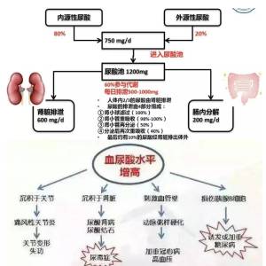 服用降压药期间出现尿酸升高该怎么办？