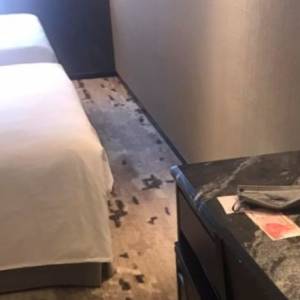歐洲床頭小費要給多少？—— 比美國少，但給法有講究！